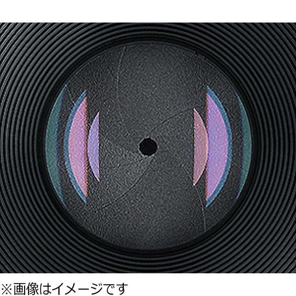Carl Zeiss カメラレンズ APS-C用 2.8/12 Touit ブラック [ソニーE /単焦点レンズ] [代引不可] | ZEISS | 02