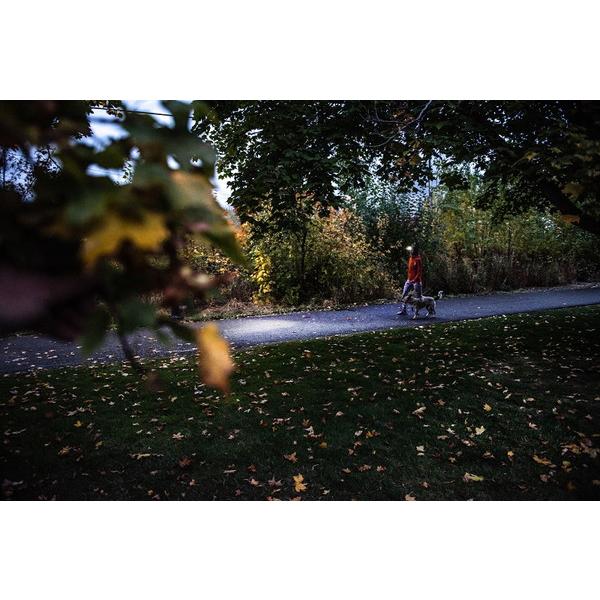 レッドレンザー ヘッドライト HF4R CORE   502790 ［LED /専用電池 /防水対応］ |  | 07