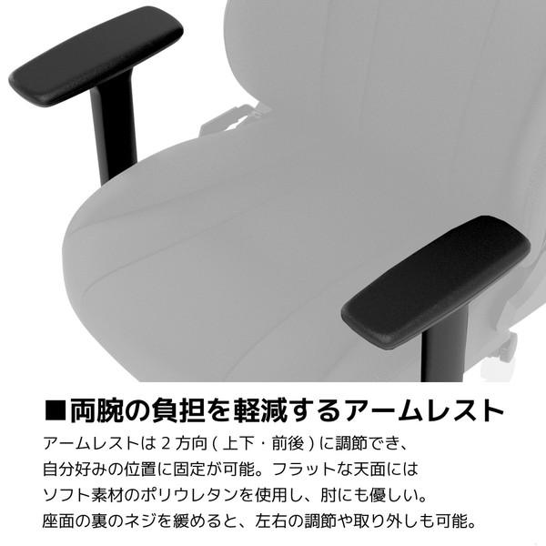 NOBLECHAIRS NC-E250-B ゲーミングチェア E250 ブラック [振込不可] |  | 09