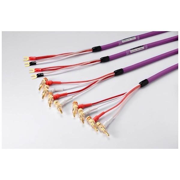 ORB INNOVA TS7 YBB2.5 INNOVA TS7 YBB2.5 スピーカーケーブル Y |  | 01