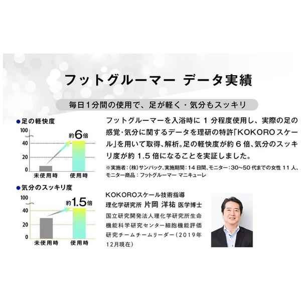 SUNPAK フットグルーマー・ハード  ブルーグレー 32246 |  | 04