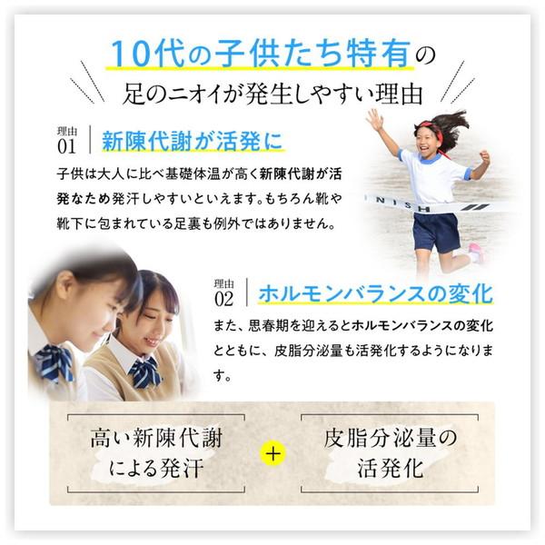 SUNPAK フットグルーマー・スタート  イエロー 32248 |  | 03