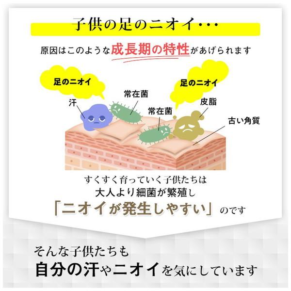 SUNPAK フットグルーマー・スタート  イエロー 32248 |  | 04