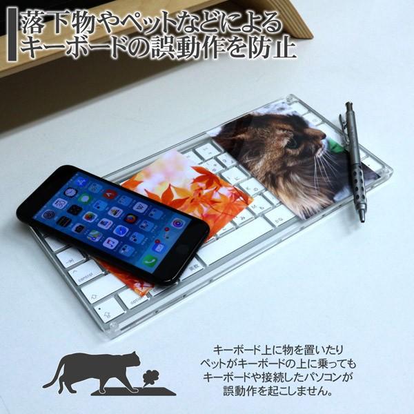 日本トラストテクノロジー PitaLITH PHOTO 〜ピタリスフォト〜 for Apple Magic Keyboard JIS PITALITH-PJ |  | 03