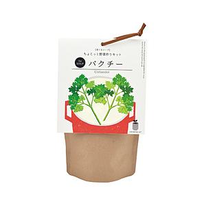 聖新陶芸 GD-79501 育てるスープ パクチー | 