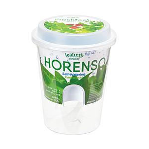 聖新陶芸 GD-81902 フレッシュフィール サラダホウレンソウ | 