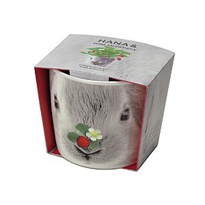 聖新陶芸 ハナ＆アニマルズウサギ／ワイルドストロベリー | 