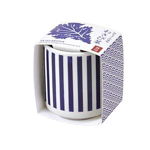 聖新陶芸 おちょこで薬味栽培セット　わさび菜 | 