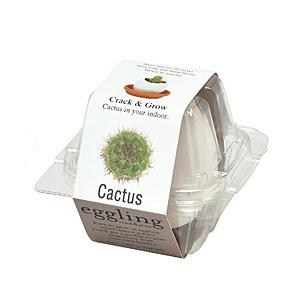 聖新陶芸 EG-5703 エッグリング カクタス | 