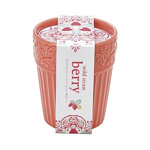 聖新陶芸 GD-90401 ボタニカルポット ストロベリー | 