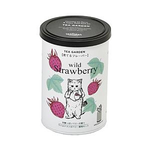 聖新陶芸 育てるフレーバー　ワイルドストロベリー | 