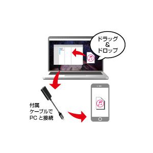 radius(ラディウス) iPad / iPad mini / iPhone / iPod対応　Lightning Music ストレージオーディオ用 （64GB・ブラック）　AL-LCS12K 【864】 | radius | 02