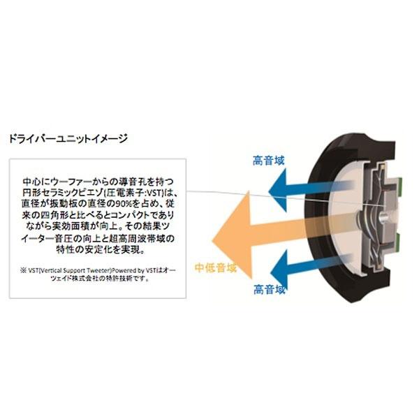 radius(ラディウス) HP-TWF00 バーガンディ【ハイレゾ対応】 カナル型イヤホン | radius | 04
