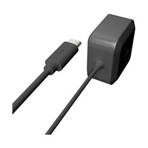 radius(ラディウス) USB-PD対応 USB-C 直結ACアダプター 1.2m RK-UPD18K ブラック | radius