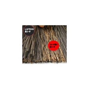 日本クリンテック 日本クリンテック　イイとこ取りほうき　ハイブリッドタイプ　チリトリセット   394572 |  | 02