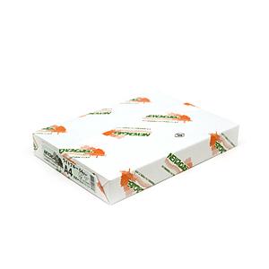 紀州製紙 北越紀州製紙 NEWファインカラー A4(500) ライトブルー | 