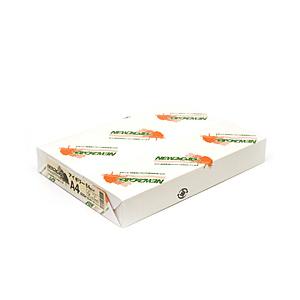 紀州製紙 NEWファインカラー A4/500 アイボリー | 