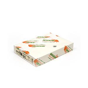 紀州製紙 “NEWファインカラー” アイボリー（B5サイズ・500枚） | 