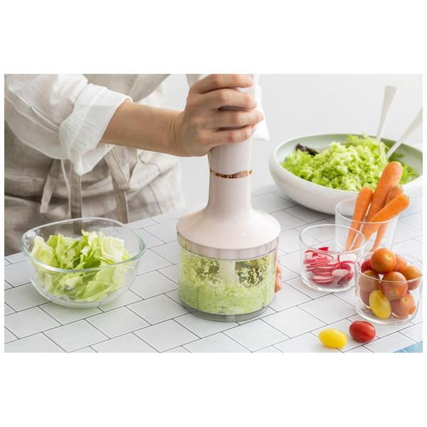 アビテラックス ハンドブレンダー AHB2-P |  | 10