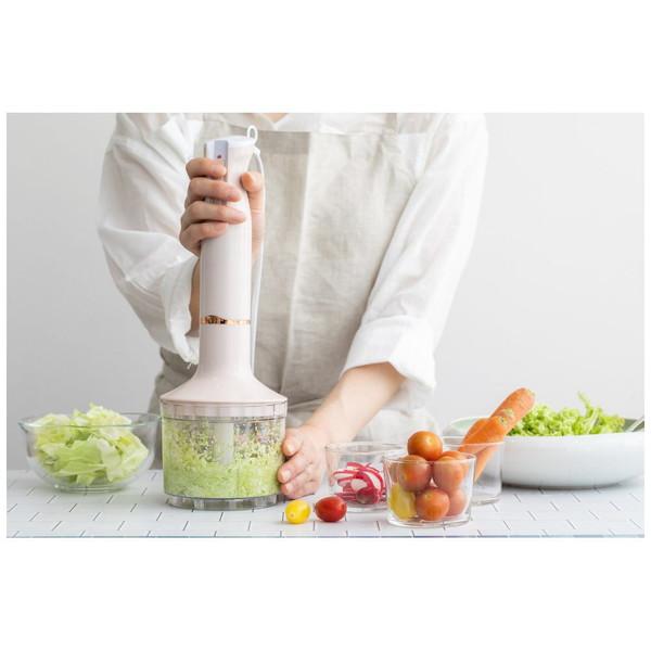 アビテラックス ハンドブレンダー AHB2-P |  | 11