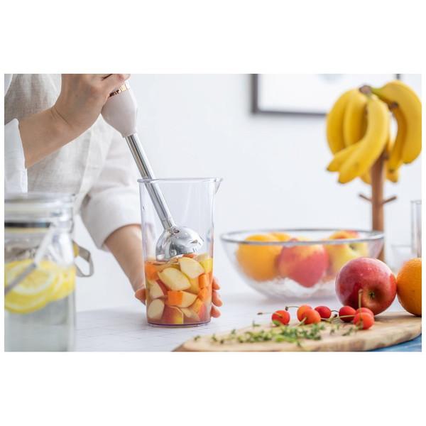 アビテラックス ハンドブレンダー AHB2-P |  | 05