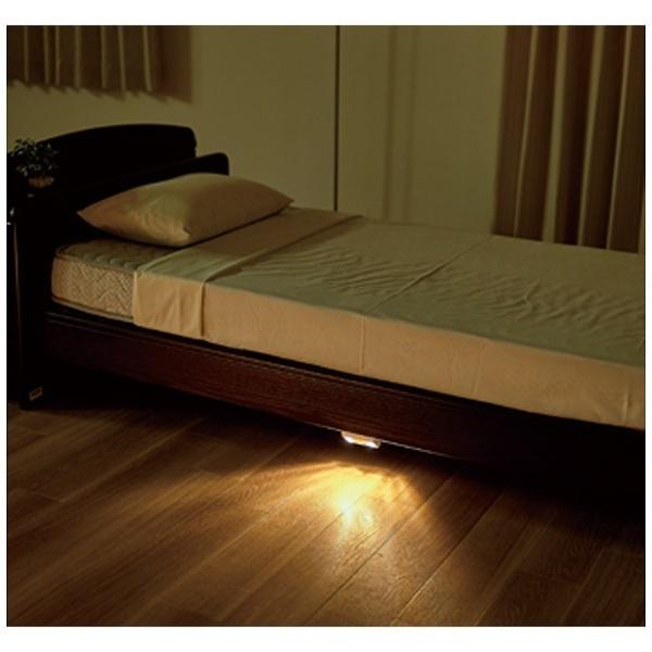 プラッツ ケアレット専用 人感センサー付フットライト PL01-29V | プラッツ（模型） | 01