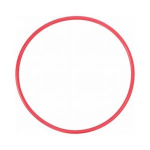 OLYMPUS(オリンパス) PT-053用Oリング POL-053 | オリンパス