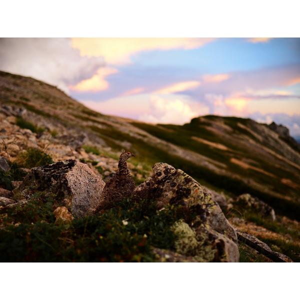 OMSYSTEM カメラレンズ M.ZUIKO DIGITAL ED 20mm F1.4 PRO    ［マイクロフォーサーズ /単焦点レンズ］ [代引不可] |  | 13