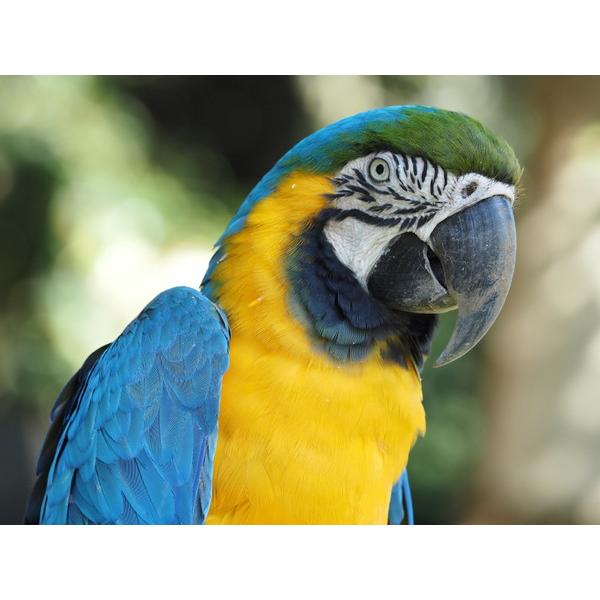 OMSYSTEM カメラレンズ M.ZUIKO DIGITAL ED 40-150mm F4.0 PRO    ［マイクロフォーサーズ /ズームレンズ］ [代引不可] |  | 01