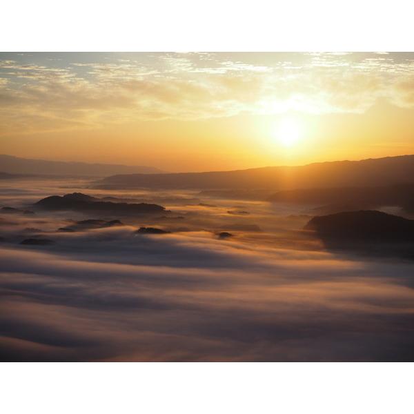 OMSYSTEM カメラレンズ M.ZUIKO DIGITAL ED 40-150mm F4.0 PRO    ［マイクロフォーサーズ /ズームレンズ］ [代引不可] |  | 02