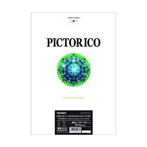 ピクトリコ ピクトリコプロ・デジタルネガフィルムTPS100（A3ノビサイズ／20枚入り）　TPS100N-A3+/20 | 