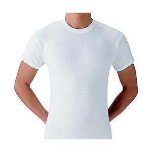 グンゼ やわらか肌着 半袖 丸首 2枚組 L   SV61142-L | 