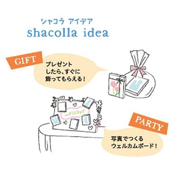 富士フイルム(FUJIFILM) シャコラ（shacolla） 壁タイプ　5枚パック　ましかくサイズ（127×127mm）　WD KABE-AL 127マシカク5P | FUJIFILM | 02