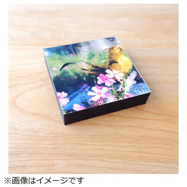 富士フイルム(FUJIFILM) ShacollaBox（シャコラボックス） ましかくサイズ（89×89mm） ブラック | FUJIFILM | 05