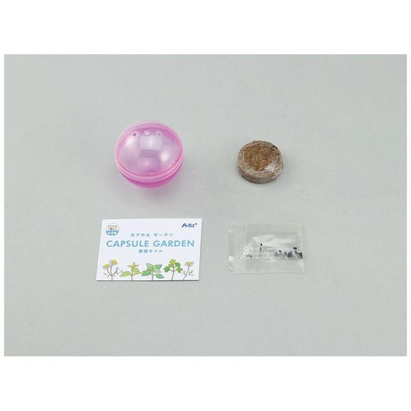 アーテック カプセルガーデンBOXセット   102921 | アーテック | 03