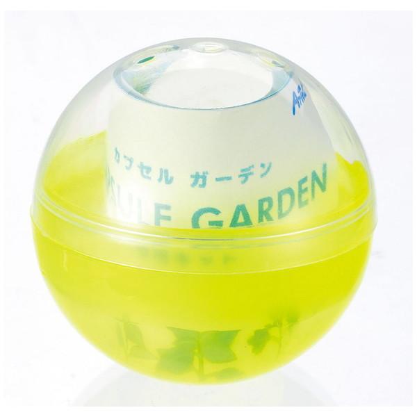 アーテック カプセルガーデンBOXセット   102921 | アーテック | 08