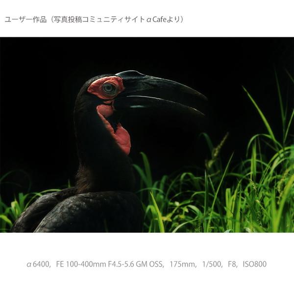 SONY(ソニー) α6400 高倍率ズームレンズキット ILCE-6400M-B ブラック [ソニーEマウント(APS-C)] ミラーレスカメラ 【864】 | SONY | 14
