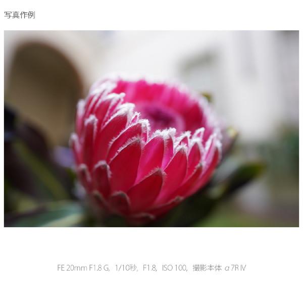 SONY(ソニー) カメラレンズ FE 20mm F1.8 G    ［ソニーE /単焦点レンズ］ 【864】 [代引不可] | SONY | 05