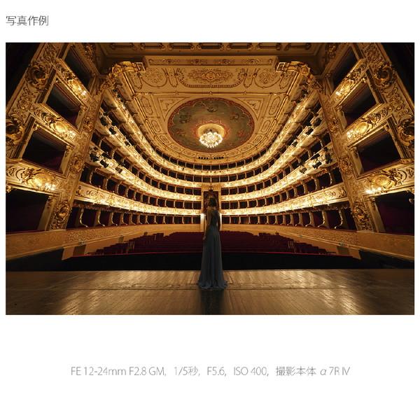 SONY(ソニー) カメラレンズ FE 12-24mm F2.8 GM   SEL1224GM ［ソニーE /ズームレンズ］ [代引不可] | SONY | 03