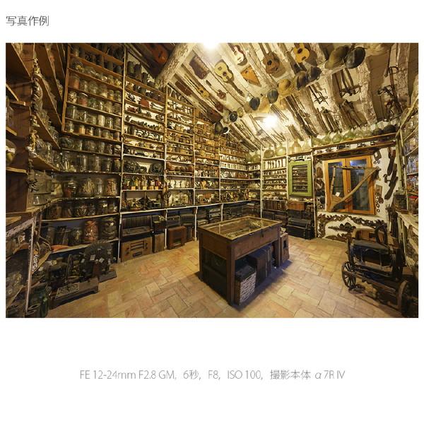 SONY(ソニー) カメラレンズ FE 12-24mm F2.8 GM   SEL1224GM ［ソニーE /ズームレンズ］ [代引不可] | SONY | 05