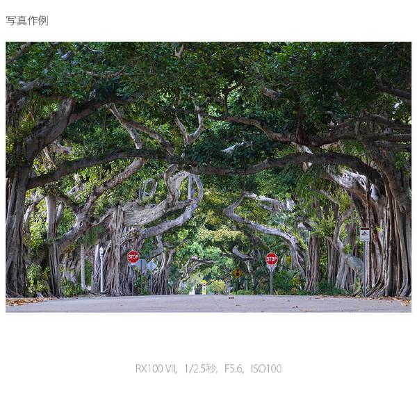 SONY(ソニー) DSC-RX100M7G コンパクトデジタルカメラ Cyber-shot（サイバーショット） シューティンググリップキット 【864】 | SONY | 18