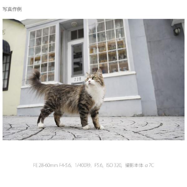 SONY(ソニー) カメラレンズ FE 28-60mm F4-5.6   SEL2860 ［ソニーE /ズームレンズ］ [代引不可] | SONY | 10