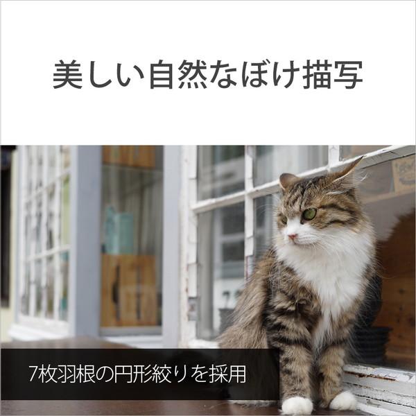 SONY(ソニー) カメラレンズ FE 28-60mm F4-5.6   SEL2860 ［ソニーE /ズームレンズ］ [代引不可] | SONY | 06