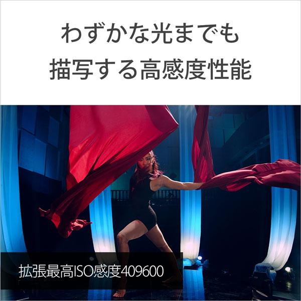 SONY(ソニー) α7S III ミラーレス一眼カメラ   ILCE-7SM3 ［ボディ単体］ [振込不可][代引不可] | SONY | 04