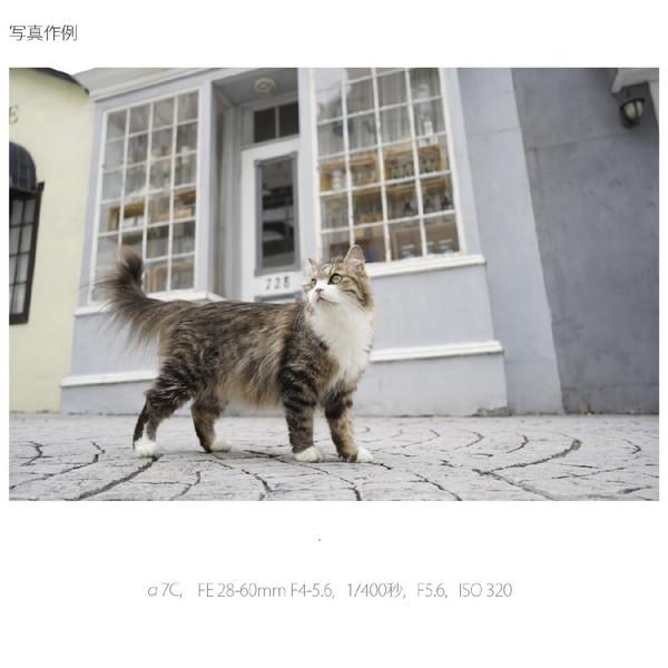 SONY(ソニー) α7C ミラーレス一眼カメラ  シルバー ILCE-7CS ［ボディ単体］ | SONY | 19