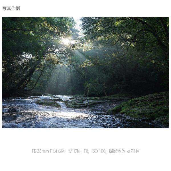 SONY(ソニー) カメラレンズ FE 35mm F1.4 GM   SEL35F14GM ［ソニーE /単焦点レンズ］ 【864】 [代引不可] | SONY | 05