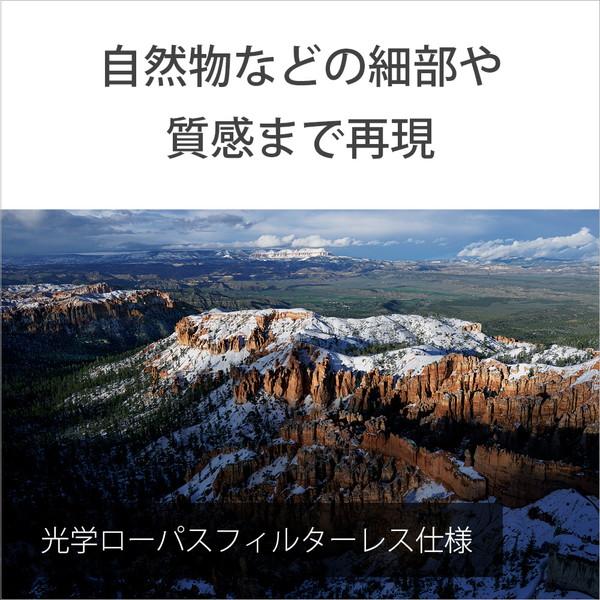 SONY(ソニー) α7R IV ミラーレス一眼カメラ   ILCE-7RM4A ［ボディ単体］ | SONY | 07