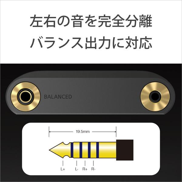 SONY(ソニー) ウォークマンWALKMAN2022年モデル WM1シリーズ ブラック NW-WM1AM2 ［ハイレゾ対応 /128GB］ 【864】 | SONY | 10