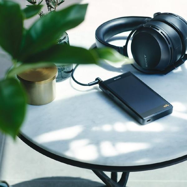 SONY(ソニー) ウォークマンWALKMAN2022年モデル WM1シリーズ ブラック NW-WM1AM2 ［ハイレゾ対応 /128GB］ 【864】 | SONY | 14