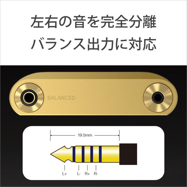 SONY(ソニー) ウォークマンWALKMAN2022年モデル WM1シリーズ ゴールド NW-WM1ZM2 ［ハイレゾ対応 /256GB］ | SONY | 13